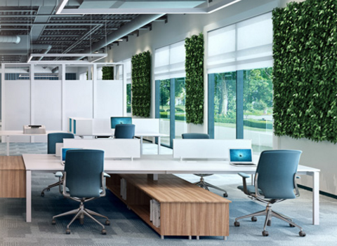 深圳办公室设计｜不同的办公室需要什么绿植？