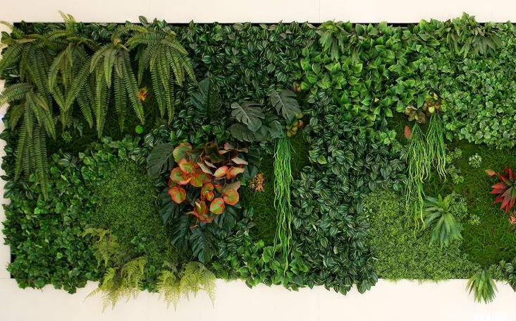 广州办公室设计绿色墙装饰选择有诀窍