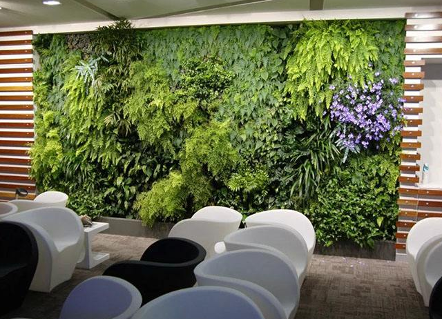 广州办公室设计越来越重视绿植摆放的重要性
